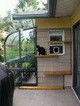 Cat habitat에 관한 8개의 최상의 Pinterest 이미지 | Cute kittens, 새끼 고양이 및 애완동물 Cat habitat