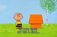 스누피배경화면, 찰리브라운짤