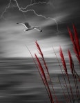 Pin page Pin on 휘파람