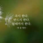 될때까지 한다 – 한 줄 명언 | Wise quotes, Cool words, How to memorize things