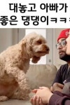 대놓고 아빠가 더 좋은 댕댕이.