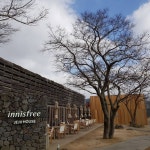 “Innisfree Jeju House” | 환경