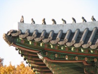 텍스타일 공모전 준비에 있는 윤나경님의 핀 - 2021