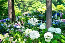 “이국적인 풍경도 보고 올해 마지막 수국도 보고”… 7월 가볼 만한 국내 여행지 추천