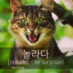 ❤️❤️❤️ 🇰🇷 당신의 영어 실력에 무척 놀랐습니다 🇺🇸 I was amazed at your English skills... 