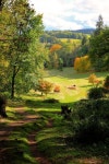 Winkwortg arboretum #travel #adventure #vacation #holiday #travelphotography #tour #tourism #flight #easyjet #trips... 