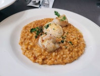 오스테리아고스마 - 종로 이탈리안 | 맛집검색 망고플레이트 - 2021 | 식품 아이디어, 음식, 까르보나라