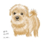 무지개예 보배진 on Instagram: “친구네집 강아지는 맥주랍니다. ---------------------------------------- . . . #아이패드그림 #아이패드프로3세대... 