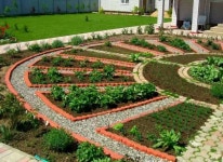Pin de 윤희 조 em 텃밭. | Canteiro para plantar vegetais, Horta quintal, Idéias de jardinagem