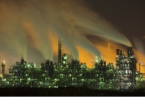 정유공단에 있는 캘리 꾸띄르님의 핀