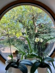 Pin page Pin by Song Yee Park on 2024교육대학원 in 2024 | Nature view, Scenery, Views