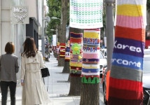 [강남사진관] 따뜻한 겨울옷 입은 가로수길 ‘그래피티 니팅’ | 강남구청 > 강남소식 > 강남이슈