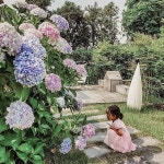 [New] The 10 Best Garden Ideas Today (with Pictures) -   오슈마켓과 제주 일로펜션이 함께 하는 휴가비 지원 이벤트 총 한도... 