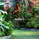 machos.sachunki 플랜테리어 planterior