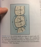 Dental에 있는 민영 차님의 핀