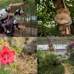 힐링 문화공간 오르다온!