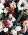 flowers에 관한 28개의 최상의 Pinterest 이미지 | 배경화면, 아름다운 꽃 및 꽃집 flowers