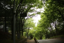 기숙사 가는 길