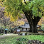 Jeong yonghun on Instagram: “운곡서원 Gyeongju, South Korea  #ig_korea #ig_eurasia #ig_today #ig_worldclub #igs_world #igs_asia... 