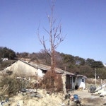 창원의 사라진 2009년의 가음정본동의 모습. 2009.12.22의 추운 날씨에 사진 찍었음. 마지막 철거를 기다리고 있는 집.