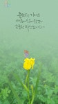 Pin by Kihong Choi on 김만규 작가 작품
