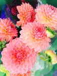Pin by 나 on 화병 | Pretty flowers, Flower farm, Beautiful flowers