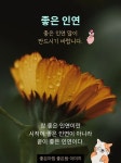 참 좋은 인연