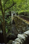 Let’s travel에 관한 10개의 최상의 Pinterest 이미지 | 여행지, 아름다운 장소 및 코스튬 Let’s travel