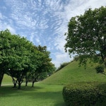 @u_rrrii trên Instagram: “좋았던 날씨🍃🌳🌿 - - #경주 #대릉원” | Nature hd, Nature, Natural beauty