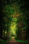 SERENITY에 관한 11개의 최상의 Pinterest 이미지 | 아름다운 장소, 조경 및 단순한 SERENITY