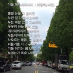 창원시 용지동의 멋진 가로수길 | 사진
