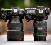 Canon Camera에 있는 핀