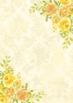 Pin page papiery에 있는 jjj님의 핀