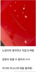 공업사 못믿어서 직접 도색한 사람의 최후