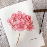 좋아요 673개, 댓글 39개 - Instagram의 색연필화, 팝아트, 인물화, 캘리그라피, 수채화(@sese688)님: 🌸오픈기념 원데이클래스🌸 세종공방 오픈... 