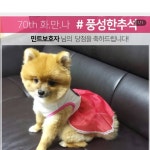 내 용돈은 내가 벌지 이것이 바로 #자급자족의길... | Puppies, Teddy bear, Teddy