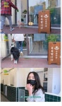 댕댕이 목욕탕