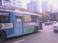 Bus에 있는 8478 K님의 핀