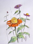 Pin by Darlene Sojka on A Botanical Th㉫m㉫ | Watercolor cards, Art, Drawings