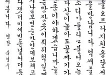 t115A w1 신혜정 01