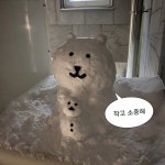 Pin page 짤에 있는 핀