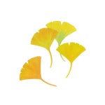 땡스아트 thanks art 오일파스텔 oilpastel 일러스트 illustration 그림 은행잎 ginkgo 가을 yellow