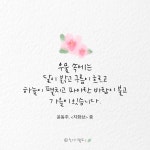 노아캘리에 있는 핀