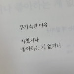 무언갈 좋아한다는 것