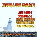 #제주버스투어 #제주원데이투어 #한담산책로 #오설록 #송악산 #카멜리아힐 #우유부단 #새별오름 #이호말등대 #함덕서우봉 #월정리해변 #성... 