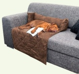 Pet에 관한 21개의 최상의 Pinterest 이미지 | 강아지, 애견 악세사리 및 애완동물 Pet