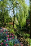 Gardening에 관한 29개의 최상의 Pinterest 이미지 | 작은 정원, 조경 및 정원 길 Gardening