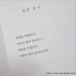 캘리에 있는 핀