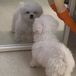 오지은(@mllliky_) • Instagram写真と動画 | 画, 写真, 動画