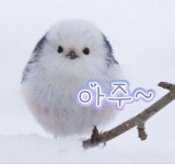 아주